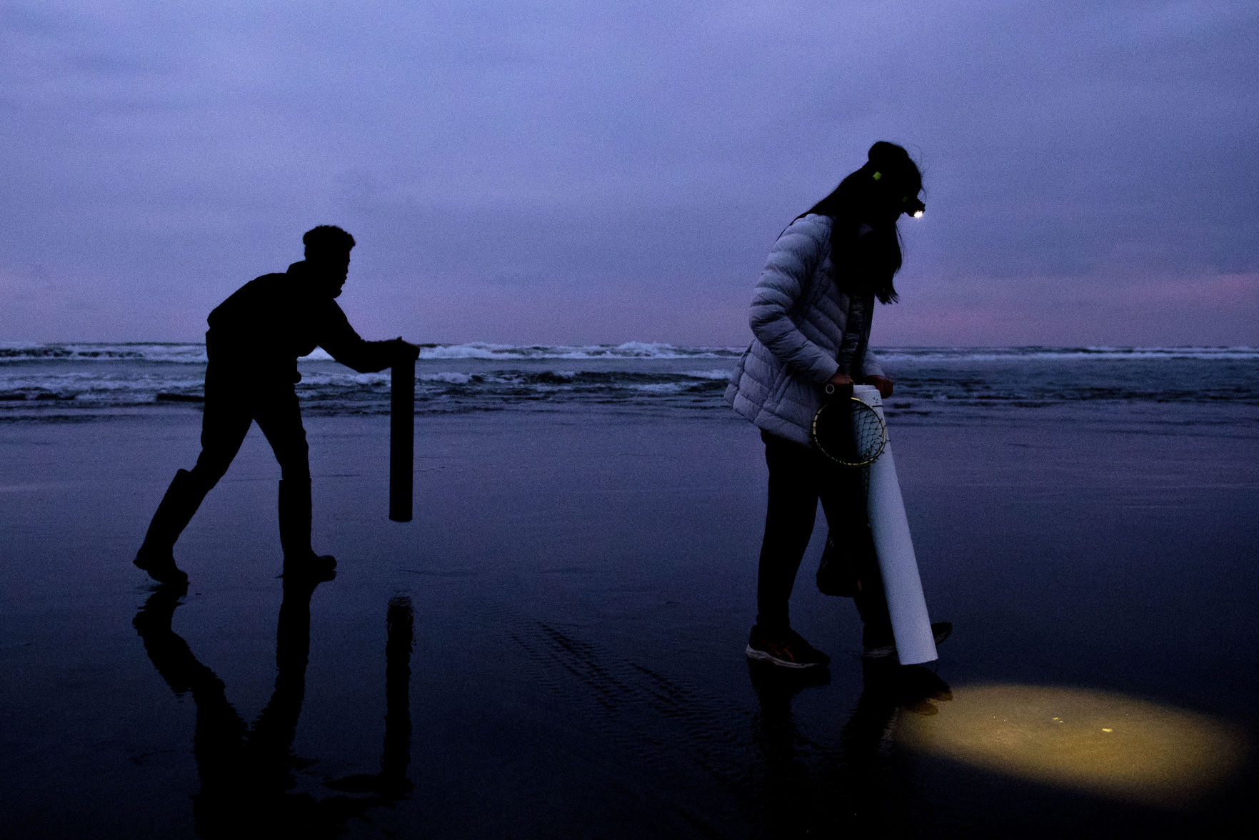 Searching the sand